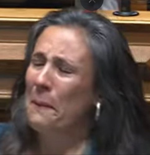 Facho_Portuguez's tweet image. Um dos objetivos metapolíticos da Direita devia ser fazer memes com esquerdalhos até eles chorarem.
E depois fazer memes com esquerdalhos a chorar.