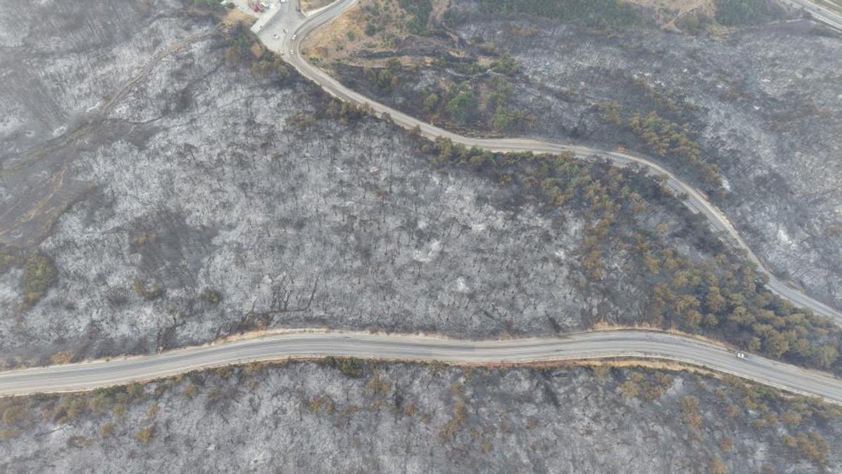 Yangın kontrol altına mı alındı yoksa yanacak bir şey mi kalmadı?
