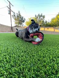 valerialdj's tweet photo. #openseatouchgrass https://t.co/0hsYb5Ku2M