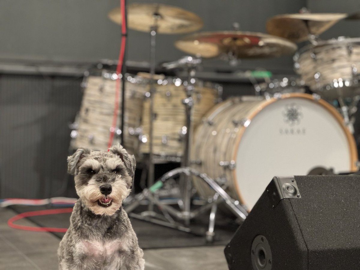 待望のスヤ ザ ファンミーティングこと犬見ヶ原ありがとうございました！！いぬもみんなもお利口さんだったよー！！ #犬見ヶ原 #トカトントン #スヤザドッグ