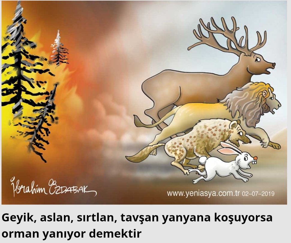 Emre Çelik tweet media