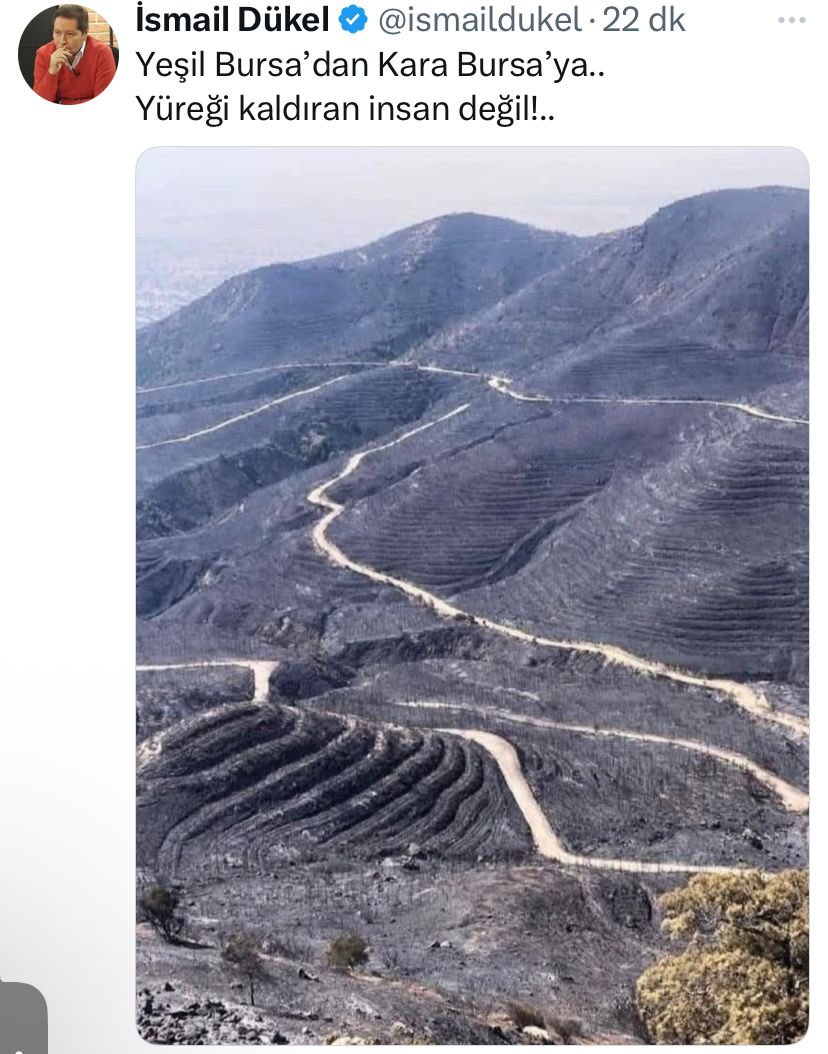 Fatih Tezcan (@fatihtezcan) on Twitter photo Kıbrıs’taki 2022 yangını sonrası durumu Bursa diye paylaşan tüm provokatörler hakkında işlem yapılmasının takipçisi olacağız! <a href="/TC_icisleri/">T.C. İçişleri Bakanlığı</a> <a href="/AliYerlikaya/">Ali Yerlikaya</a> <a href="/iletisim/">T.C. İletişim Başkanlığı</a> Kıbrıs’taki 2022 yangını sonrası durumu Bursa diye paylaşan tüm provokatörler hakkında işlem yapılmasının takipçisi olacağız! <a href="/TC_icisleri/">T.C. İçişleri Bakanlığı</a> <a href="/AliYerlikaya/">Ali Yerlikaya</a> <a href="/iletisim/">T.C. İletişim Başkanlığı</a>