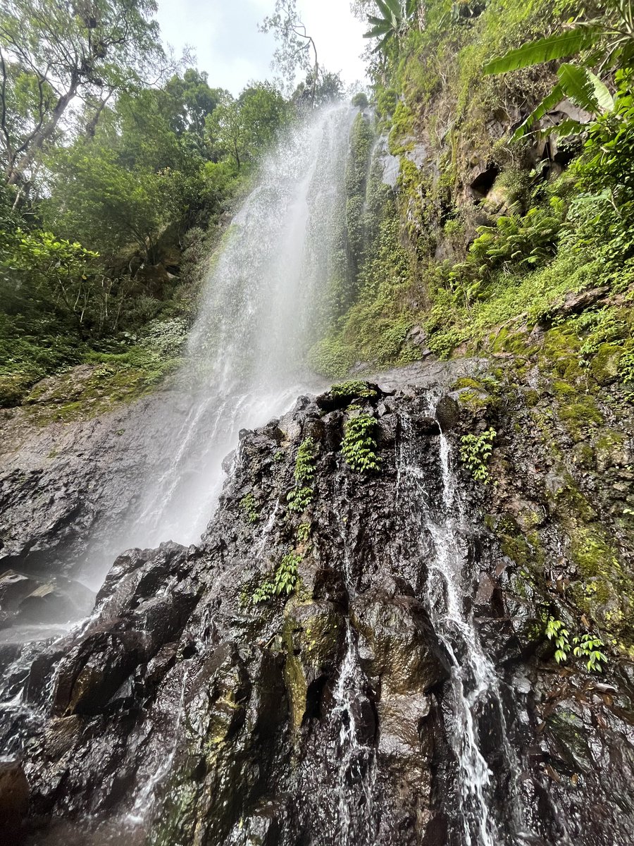 robetttttttttt tweet media