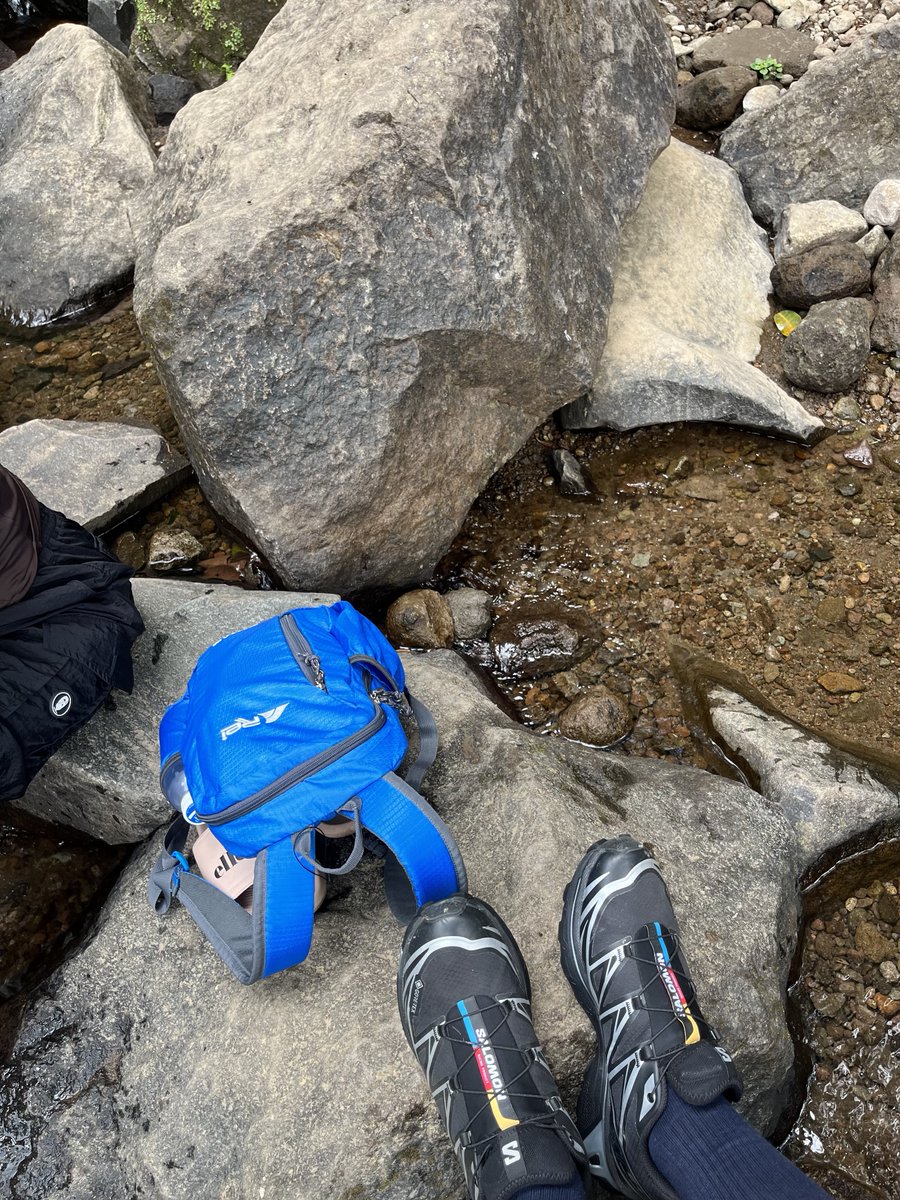 robetttttttttt tweet media