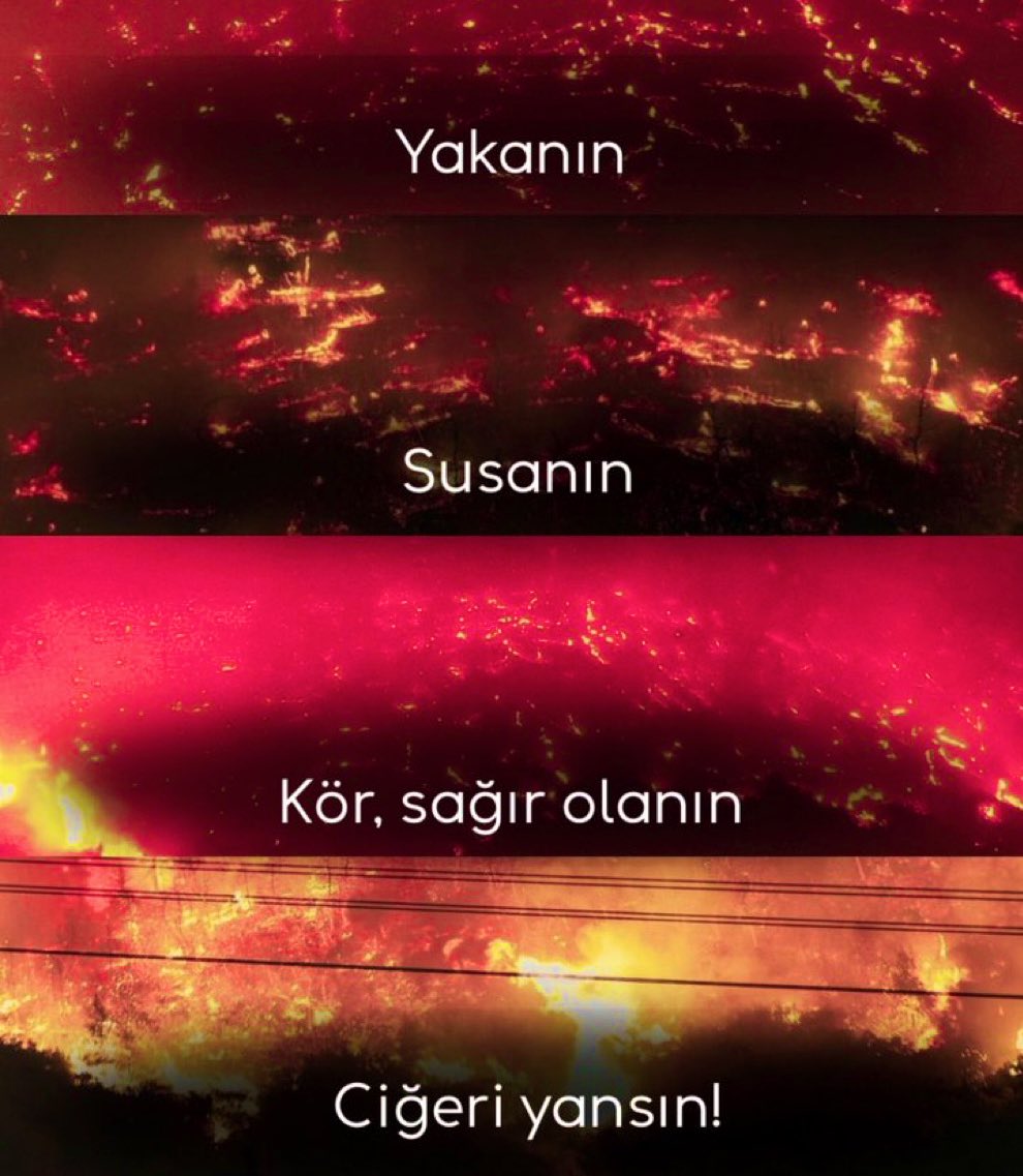 #Uşak yanıyor, yerleşim yerlerine yakın bölgelerde yangın hızla büyüyor lütfen duyurun.
#karabük #bursayangın #Antalya #izmir #Eskişehir #sakarya #uşak yangın bölgelerine yakın olanlar lütfen personele ve halka su, maske, yanık kremi ulaştırsın acilll. #yangınfaciası #yangınvar