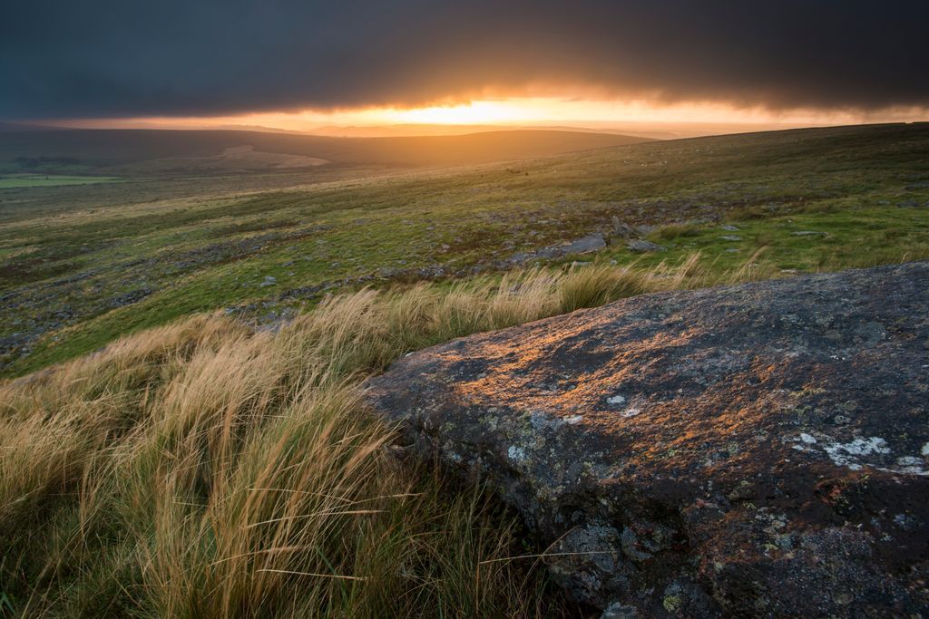 DevonWildlife's tweet image. On #InternationalBogDay, we&apos;re celebrating the bogs of Dartmoor. 💚 

Have you got a waterlogged or boggy bit of garden? You can make it work for nature and provide a valuable habitat, find out more 👇 
buff.ly/oYEY56F 

📷: Ross Hoddinott/2020VISION