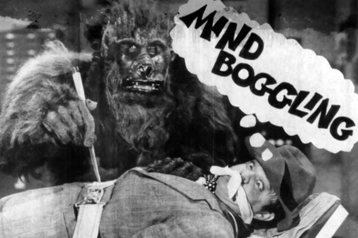 Showing today, 3.30pm:
The Movie Orgy
Joe Dante, 1968, 275 min
Introduced by Ehsan Khoshbakht
closeupfilmcentre.com/film_programme…
Box Office: ticketsource.co.uk/close-up-cinem…