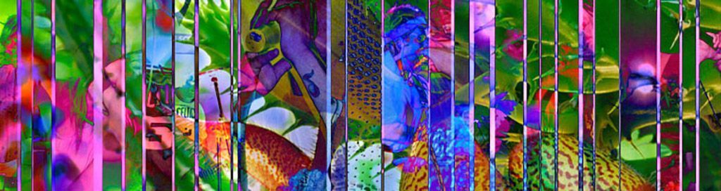 drSpace's tweet image. This week on Hearts of Space: 'HYBRIDS'—the unpredictable world of musical fusions. With hybrids by BRUCE KAPHAN, ROBERT RICH, NELSON FOLTZ & TOM LYNN, MICHAEL BROOK, BILL LASWELL & TOSHINORI KONDO, FORREST FANG, JON HASSELL, and TONY LEVIN. bit.ly/HoS-915R 0