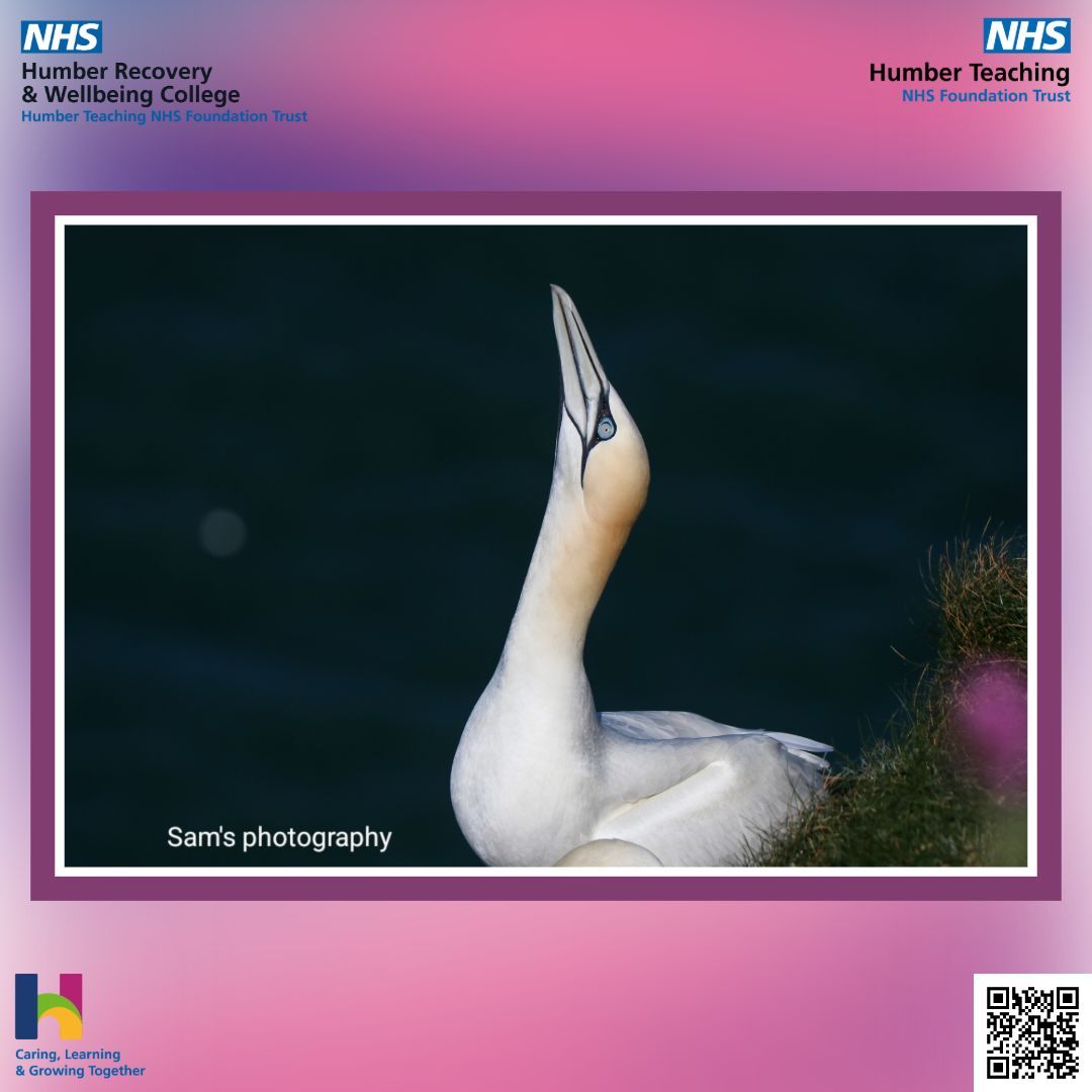 This Sunday, we have another incredible photo by Sam!

We're really enjoying seeing Sam's work pay off with these excellent photos 💙

If you have any creative work you'd like us to share, email us at: HNF-TR.RecoveryCollege@nhs.net 

#Photography #RecoveryAndWellbeingCollege