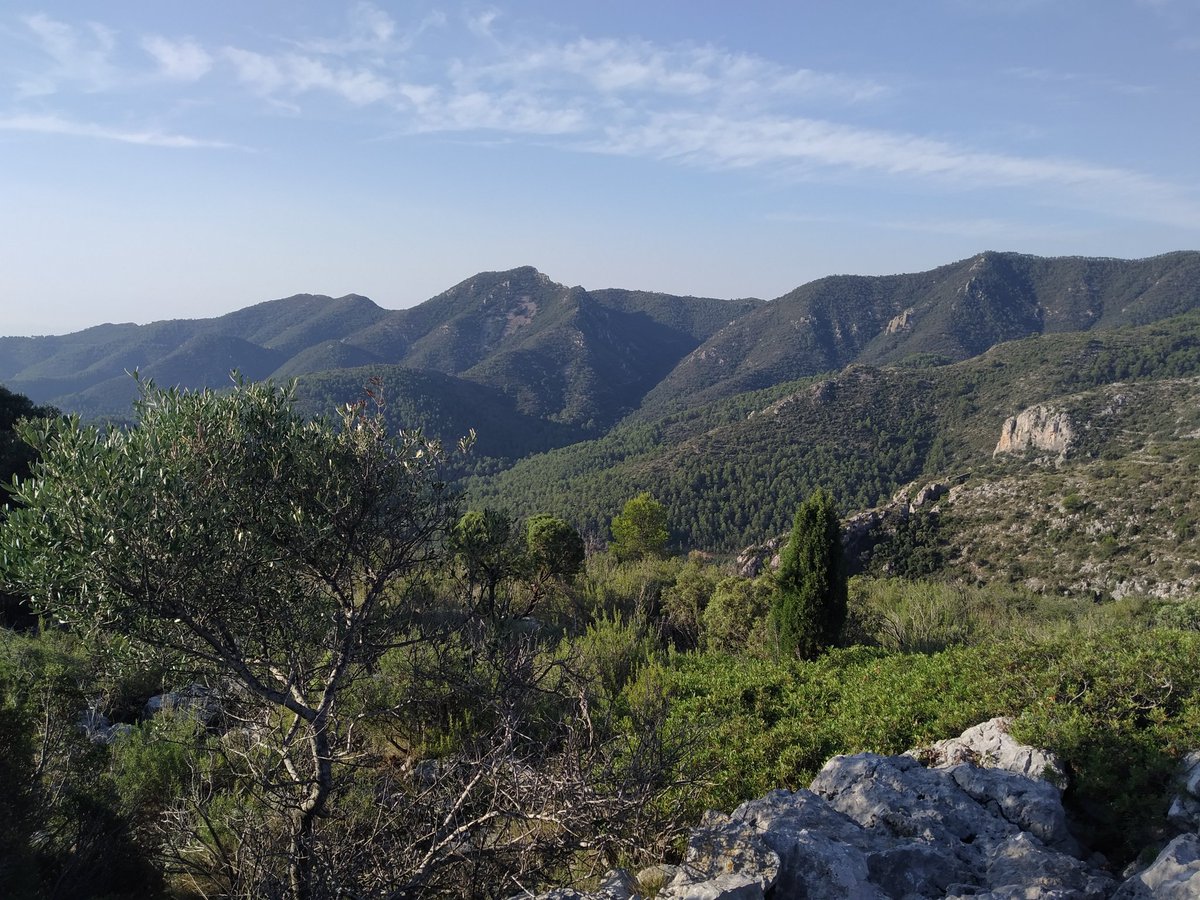 Cova del Tinent, Cova del Tronc i Mirador de la Penya Migdia de #Artana <a href="/espadaniques/">Espadànics escaldats🦎</a>
<a href="/Haarp_project/">Haarp_project</a>
<a href="/javierromerota3/">Naturaleza es vida 🌲🦇 1919💯🍁🎄🎅</a> <a href="/javix/">Javi López</a> <a href="/JrvLionel/">JuanRa Varelles🍊</a> <a href="/JuanJCarrasco/">JJCarrasco 🍀 👣</a> <a href="/PaisRutes/">Rutes del País Valencià</a> <a href="/PallaresBlasco/">Helena</a>