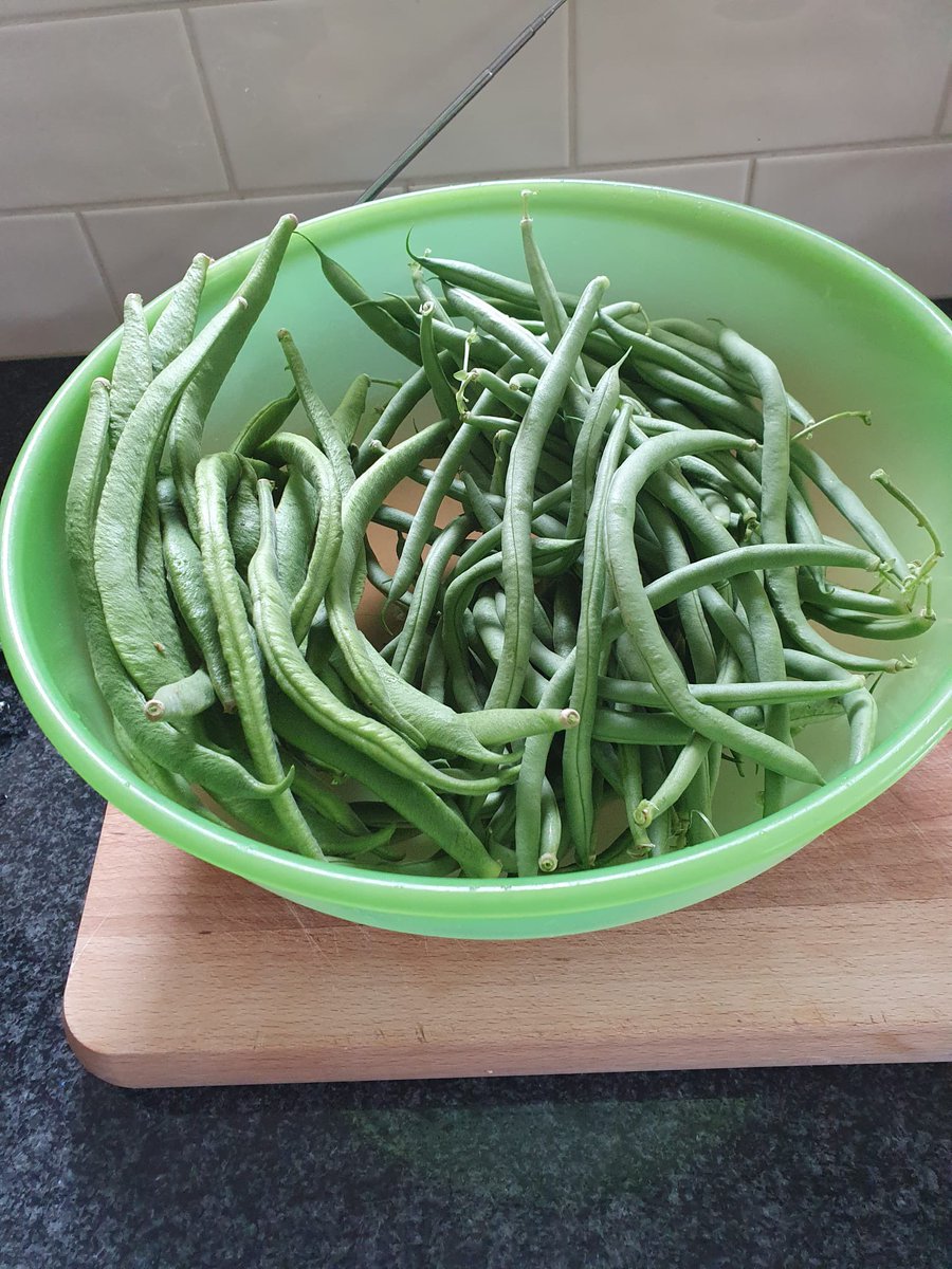 Love British Vegetables gorgeous homegrown vegetables from folks garden. Stunning and will be enjoyed cooked simply 🔥🔥<a href="/LoveBritishFood/">Love British Food</a>
