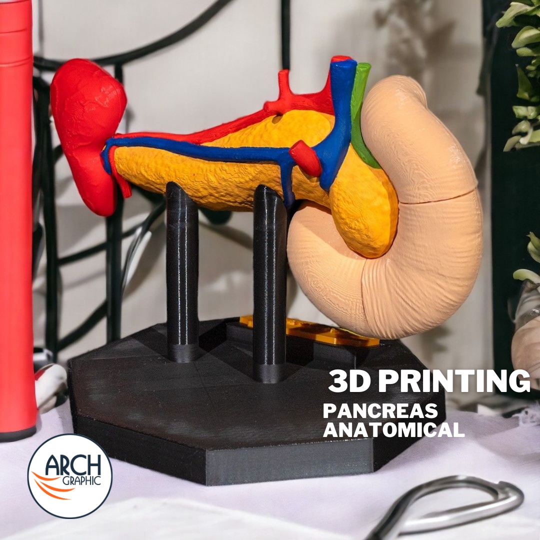 3d_archgraphic's tweet image. 🩺 3D Printed Pancreas Anatomical Model 🏥
High-precision medical model for education, research, and surgical planning.
Customizable
arch-graphic.com
#3DPrintingUAE #Medical3DPrinting #PancreasModel #AnatomicalModels #Healthcare3DPrinting #MedicalEducationUAE #UAE3DPrint
