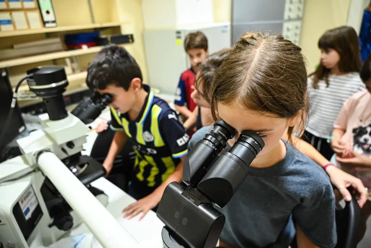 idibaps's tweet image. Aquesta setmana...
Un centenar infants han participat en el casal d’estiu de l’#IDIBAPS, una iniciativa per fomentar l’interès per la ciència des de petits
A través d'experiments i jocs s'han investigat els misteris que s'amaguen dins de cada cèl·lula
👉f.mtr.cool/gpezekntlf