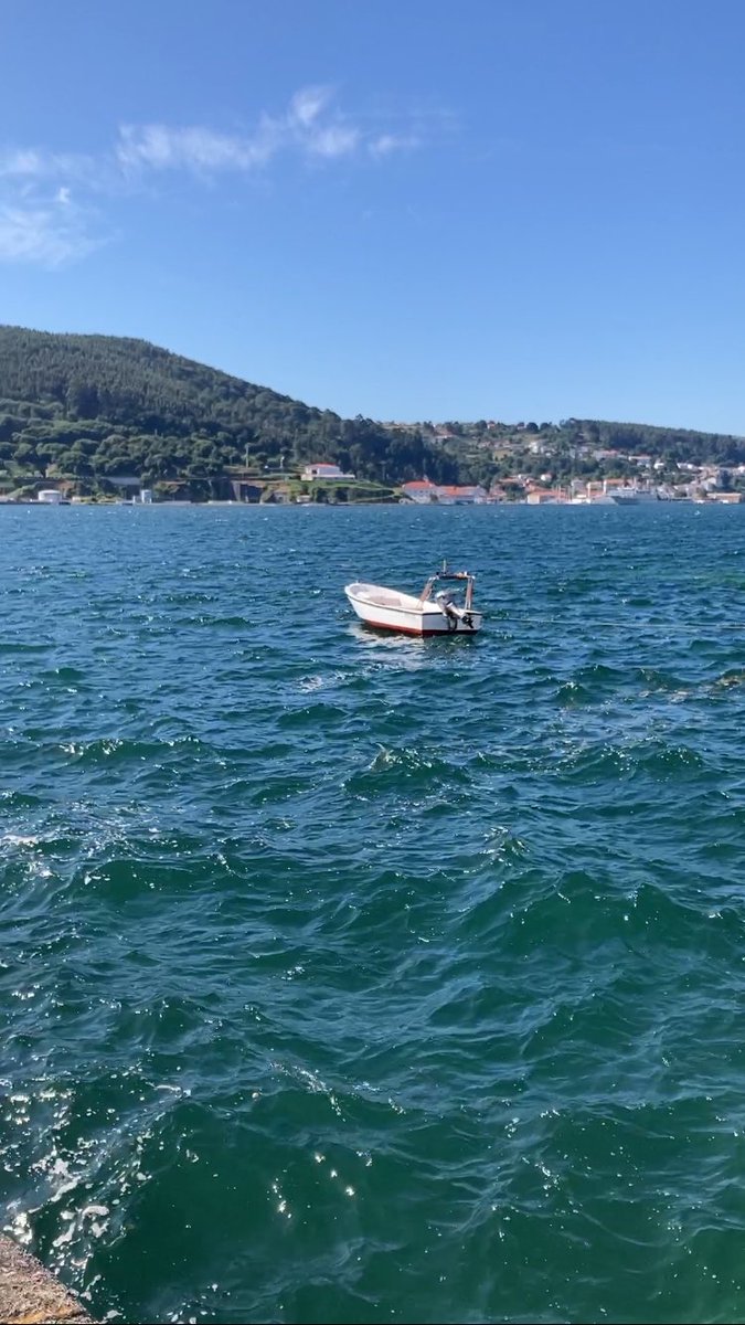PuriRamirezJ's tweet image. Feliz domingo! 🌼🌼🌼☀️☀️☀️ #Mugardos #Ferrol #Ferrolterra #Galicia