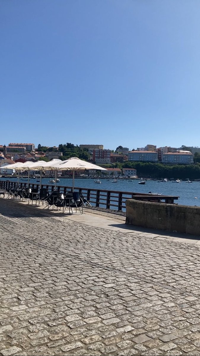 PuriRamirezJ's tweet image. Feliz domingo! 🌼🌼🌼☀️☀️☀️ #Mugardos #Ferrol #Ferrolterra #Galicia