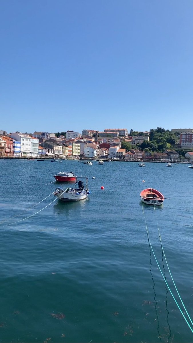 PuriRamirezJ's tweet image. Feliz domingo! 🌼🌼🌼☀️☀️☀️ #Mugardos #Ferrol #Ferrolterra #Galicia