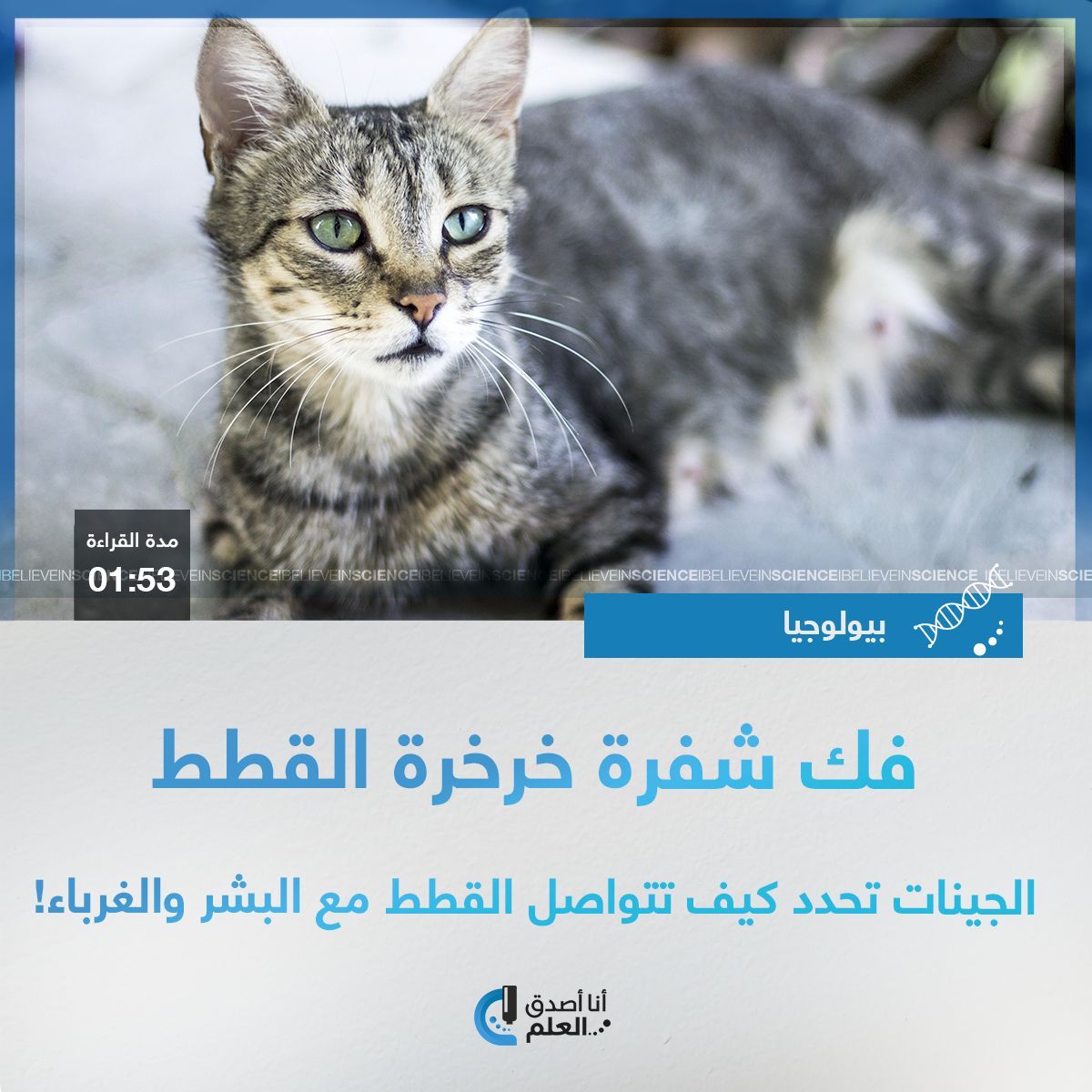 IBelieveInSci's tweet image. فك شفرة خرخرة القطط: الجينات تحدد كيف تتواصل القطط مع البشر والغرباء!
التفاصيل على الرابط التالي:
ibelieveinsci.com/%d9%81%d9%83-%…