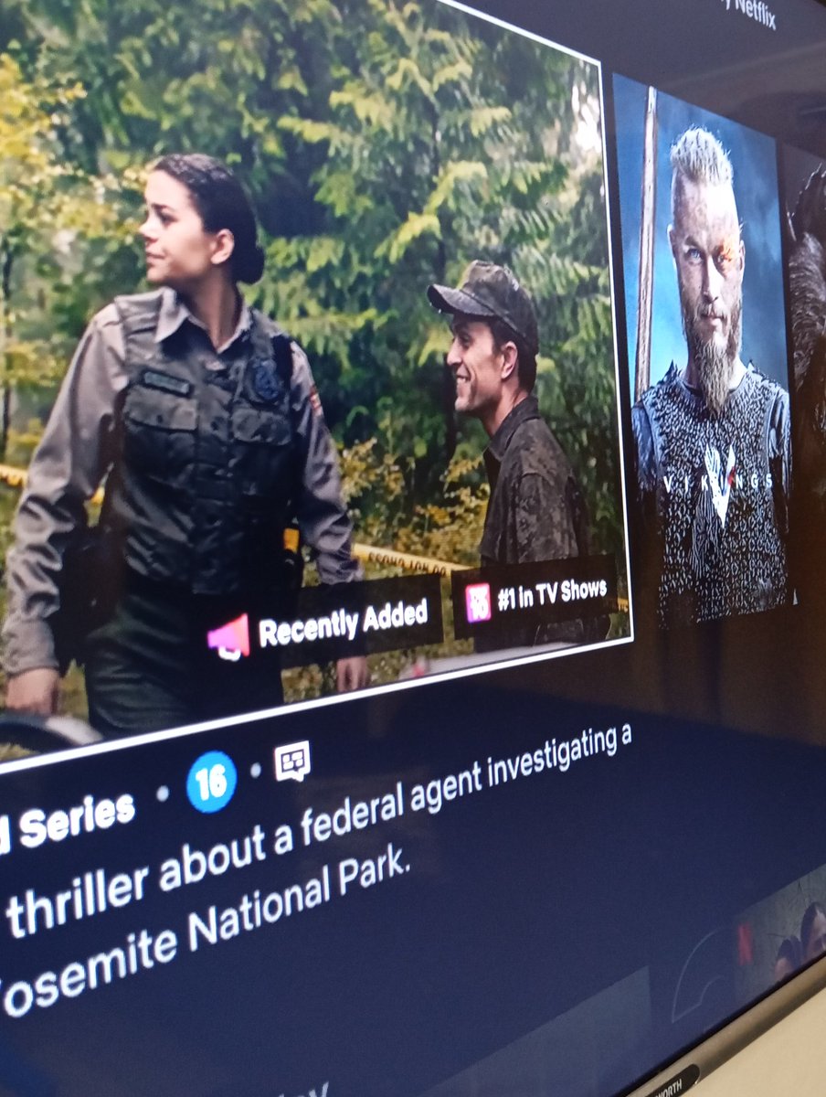 I hate the new netflix layout!