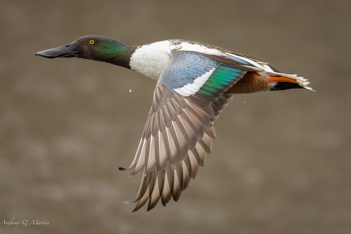 Hiç kendi kendine olmuş gibi bir hali var mı ?!