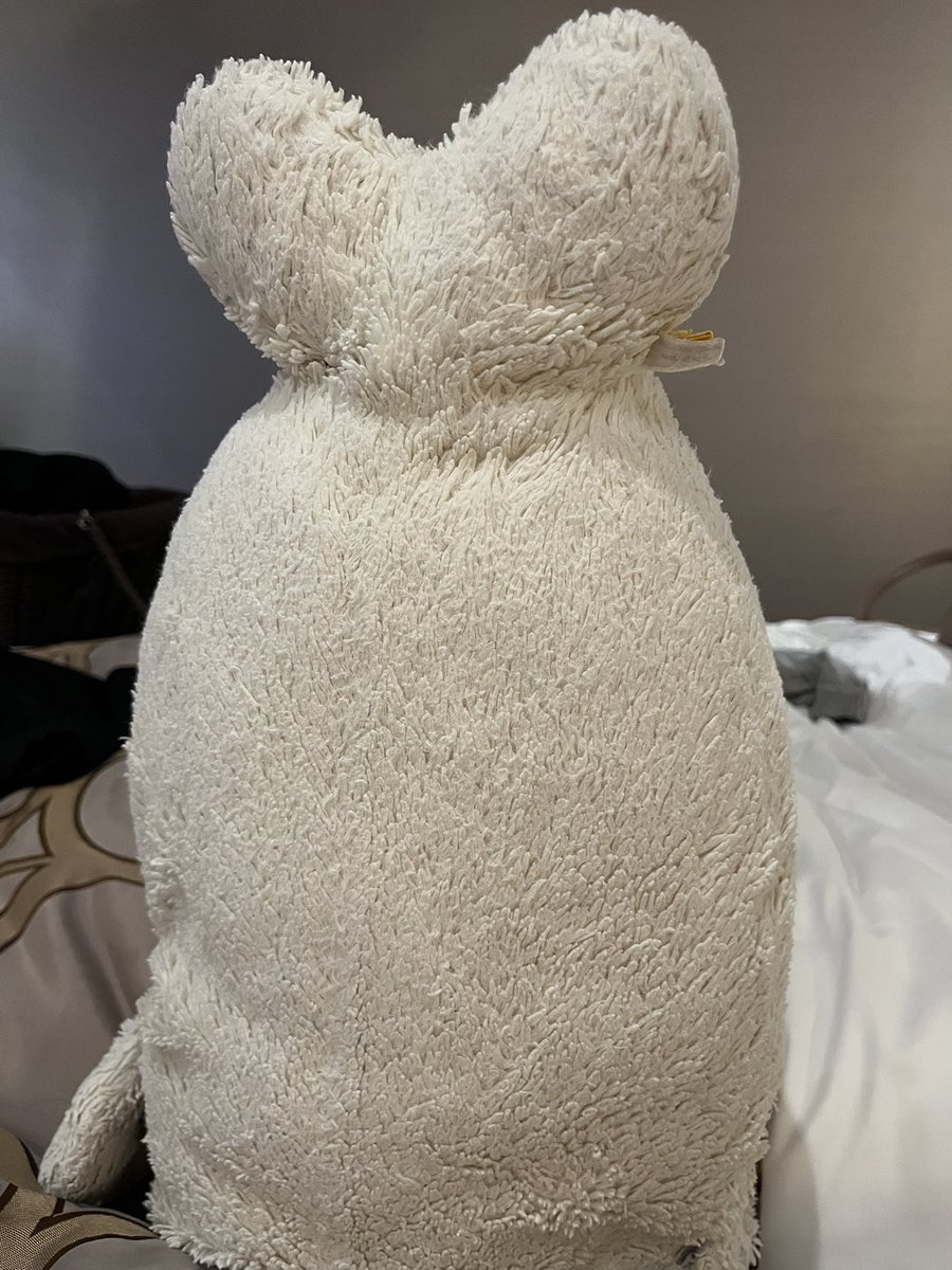 shiro1999tan's tweet image. はまったん
#しろたん
#たすけて