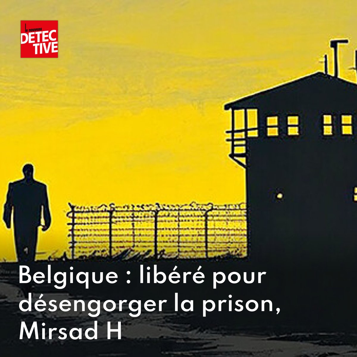 MagDetective's tweet image. Belgique : libéré pour désengorger la prison, Mirsad H. brûle vive son ex-compagne
➡️ go.lenouveaudetective.com/Mq