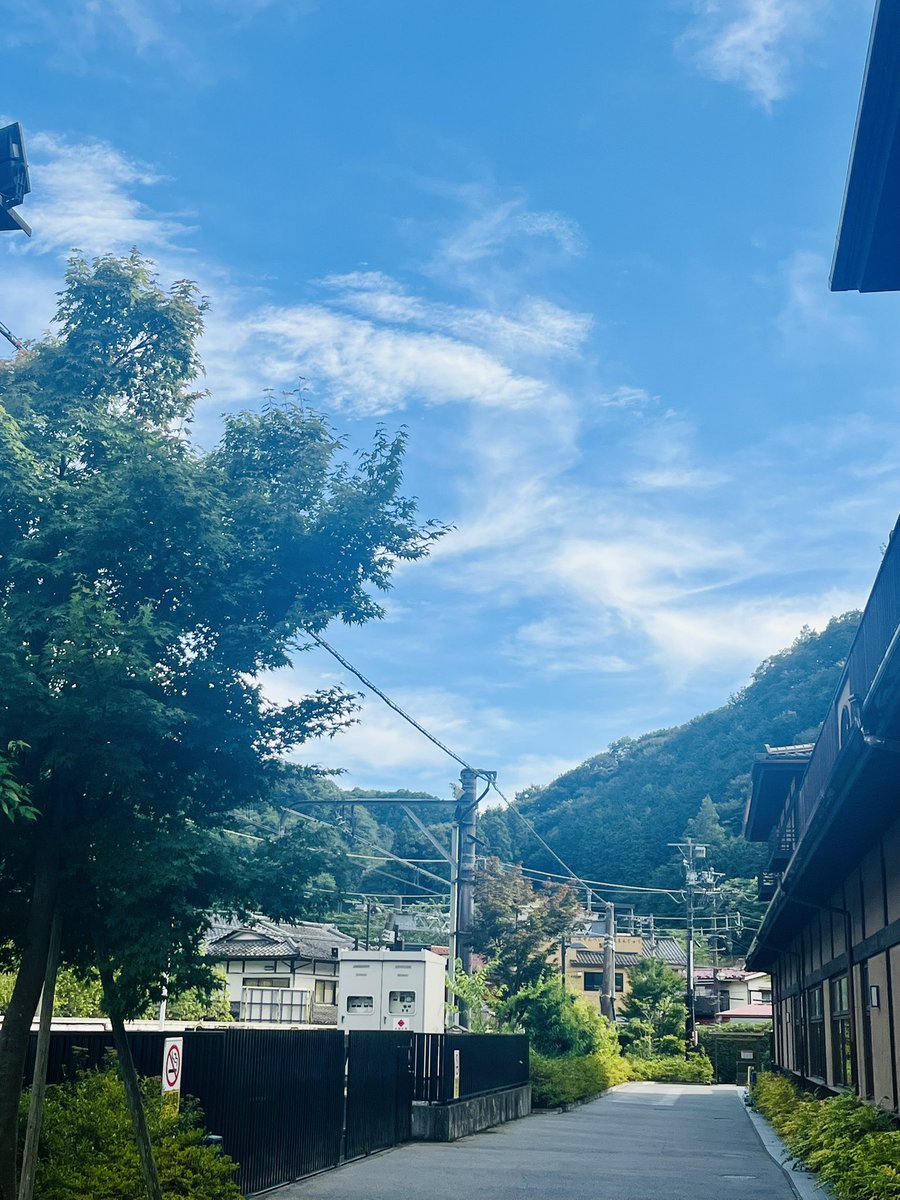 Shinnosuke_Syn's tweet image. 私の心は夏模様
