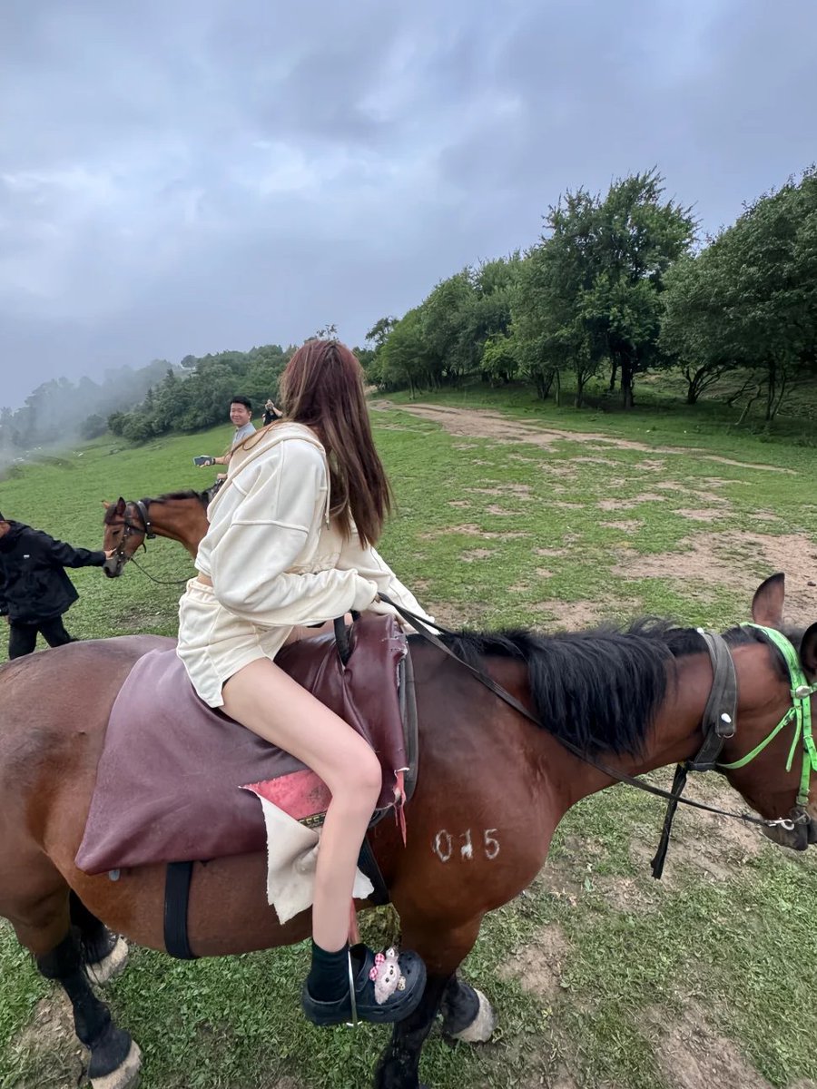運転することではなく、パワーと並んで前進するという暗黙の旅です。🐎🌄