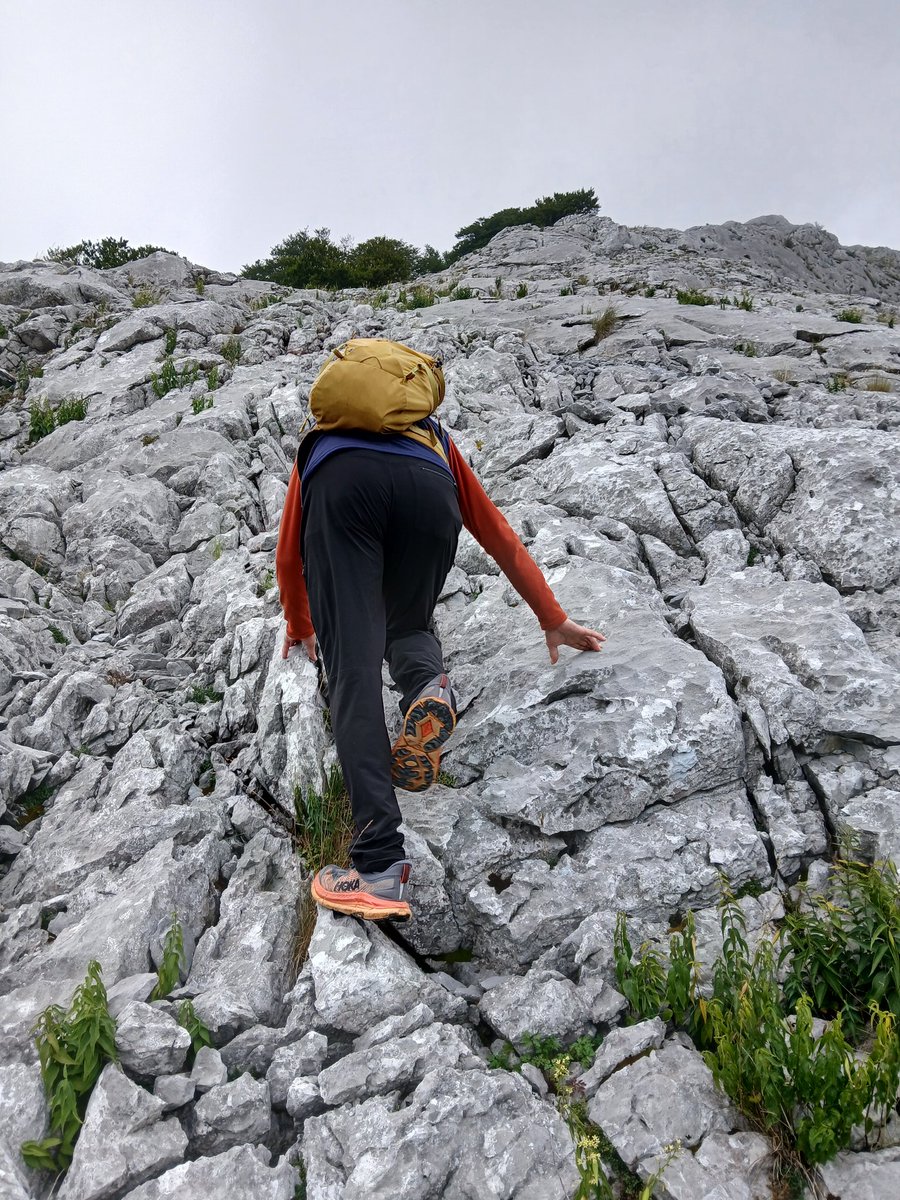 Aitor Montes Lasarte (@lasarteaitor) on Twitter photo Mi padre ha sido dianosticado de cáncer el 16 de junio. Sigue sin tratamiento en #Osakidetza
La noticia, unas pintadas. No vale nada la vida de los demás. Mi padre ha sido dianosticado de cáncer el 16 de junio. Sigue sin tratamiento en #Osakidetza
La noticia, unas pintadas. No vale nada la vida de los demás.