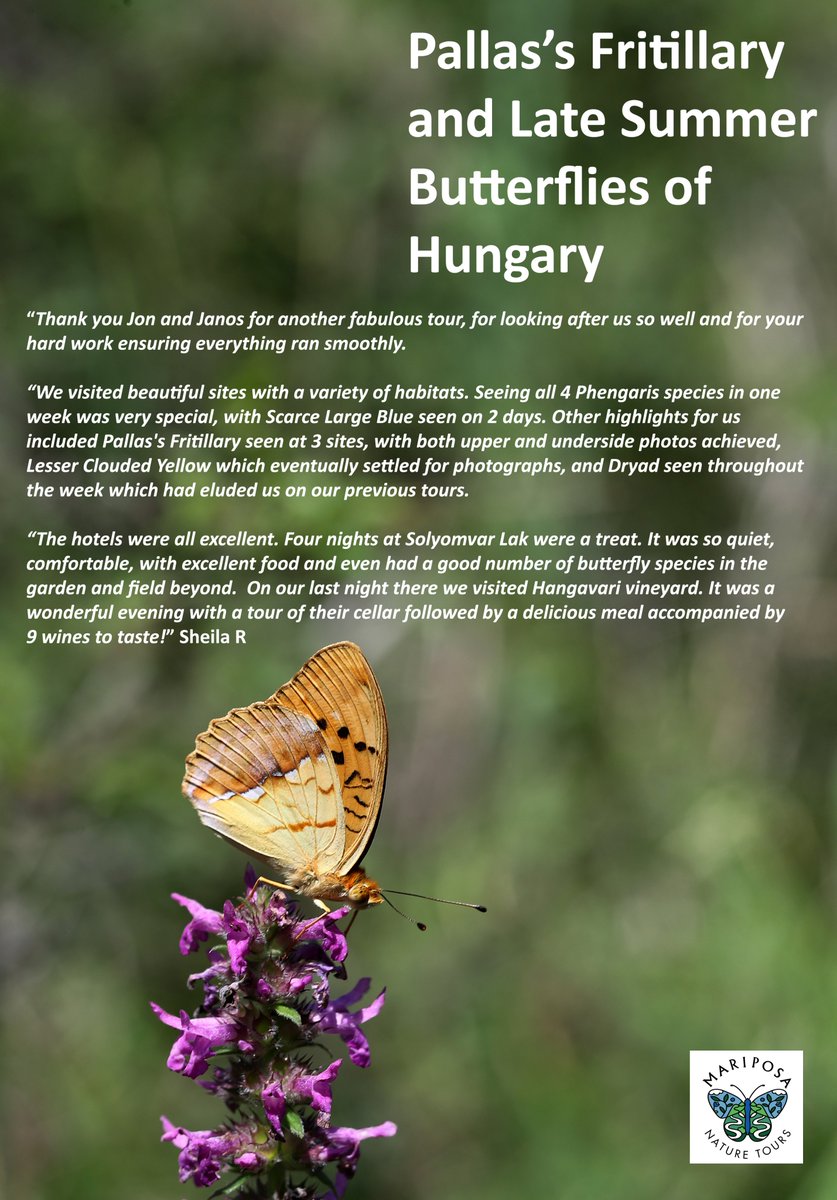 The 2025 iteration of our featured tour of the week, Pallas's Fritillary &amp; Late Summer Butterflies of Hungary, concluded a couple of days ago - and our first testimonial is already in! We love hearing that our guests have enjoyed their tours. 😃🦋

mariposanature.com/tours/butterfl…