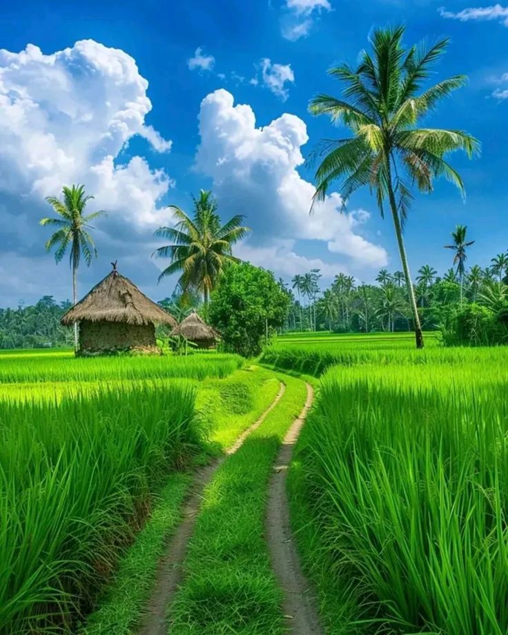 DrRani778897's tweet image. 