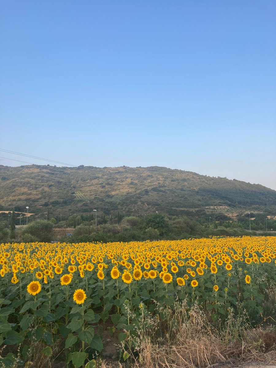 charliebaylis6's tweet image. my poem “yellow flowers”
for my elder sister may, who i loved so much
rest in peace maylis 💛
thank you Susanna & Gregory for publishing
One love / 🌻