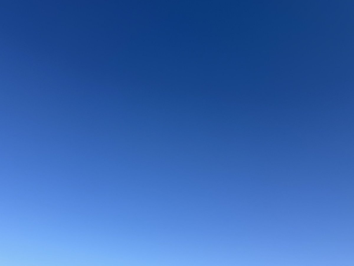 reubs_btc's tweet image. gm
not a single cloud in the sky and it’s pure blue
happy sunday all