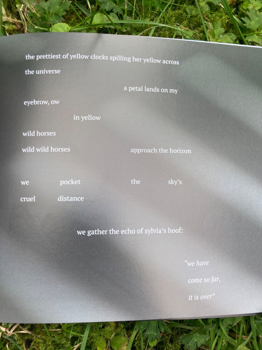 charliebaylis6's tweet image. my poem “yellow flowers”
for my elder sister may, who i loved so much
rest in peace maylis 💛
thank you Susanna & Gregory for publishing
One love / 🌻
