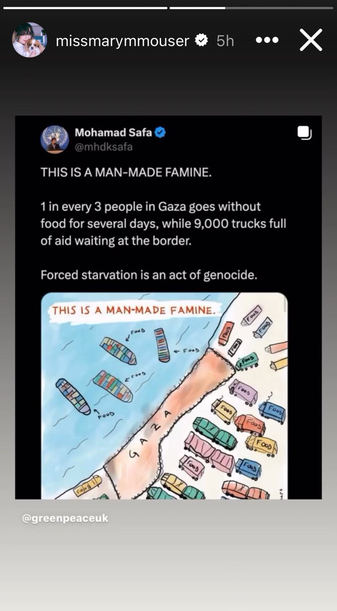 mn_sano33's tweet photo. Cobra Kai actress Mary Mouser (Samantha larusso) shared a post speaking up on Palestine in her Instagram story🇵🇸🥺❤️i love her even more for doing that https://t.co/oRpyfph5pg