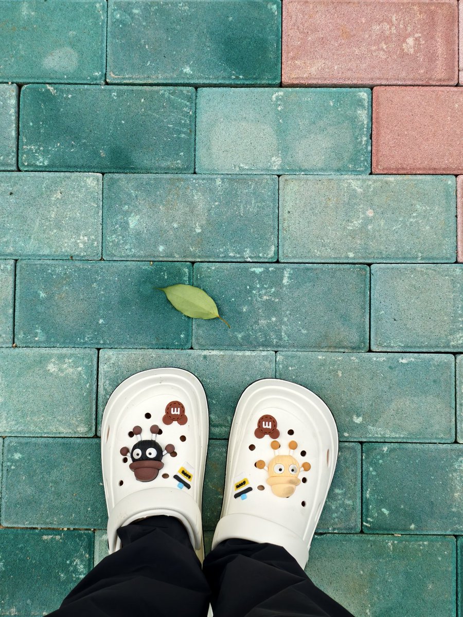 manateelazycat's tweet image. 我家领导给我买了这双拖鞋，鼓励我每天自由泳锻炼。