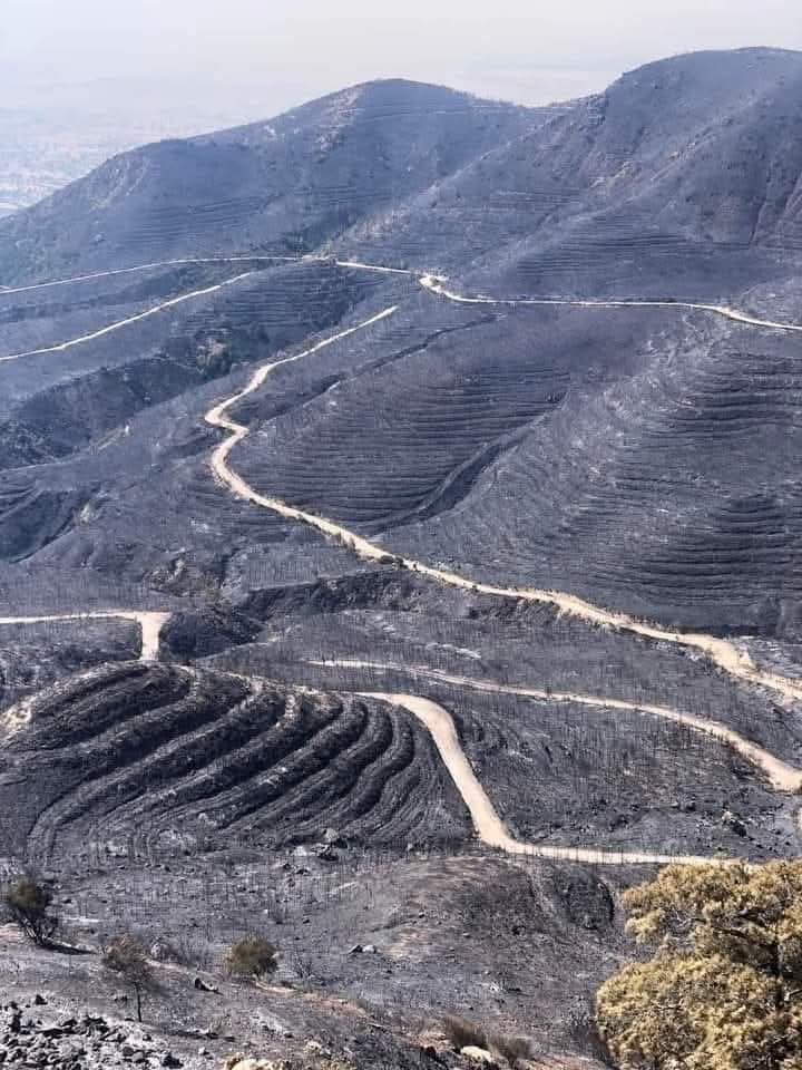 Bursa’nın Gürsu tarafındaki Katırlı Dağının belli bir bölümünde yanacak yer kalmadı…

Ciğerlerimiz yanıyor… 

Yangın çok geniş bir alanı etkilemeye devam ediyor. 

Dışkaya mevkinde alevlere hala müdahale edilmeye çalışıyor.

Bursa’da yemyeşil dağa baktımız Katırlı Dağı resmen