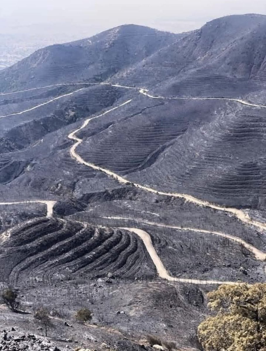 Ben yıllarca bu yollarda işe gidip geldim her seferinde video çeker arkadaşlarıma gönderirdim cennet vatanım canım memleketim diye şimdi bana bıraktıklarına bakın ben nasıl bu insanlardan nefret etmem ben nasıl intikam istemem affetmiyorum asla

#BursaYanıyorSessizKalma