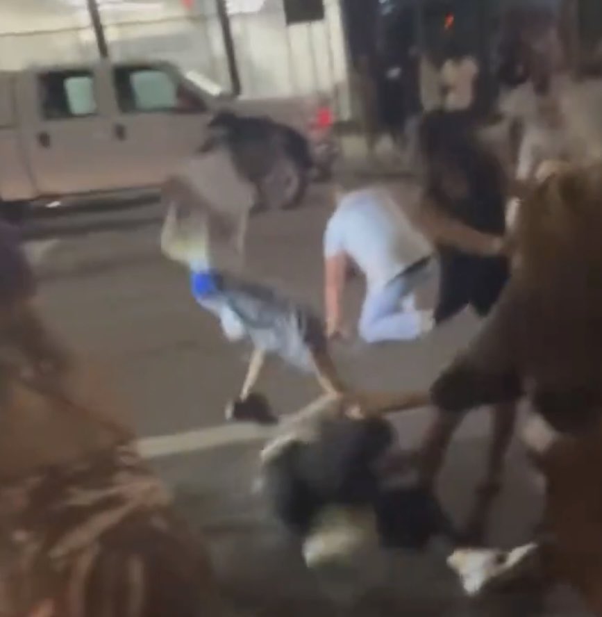 Maryanne3 tweet media