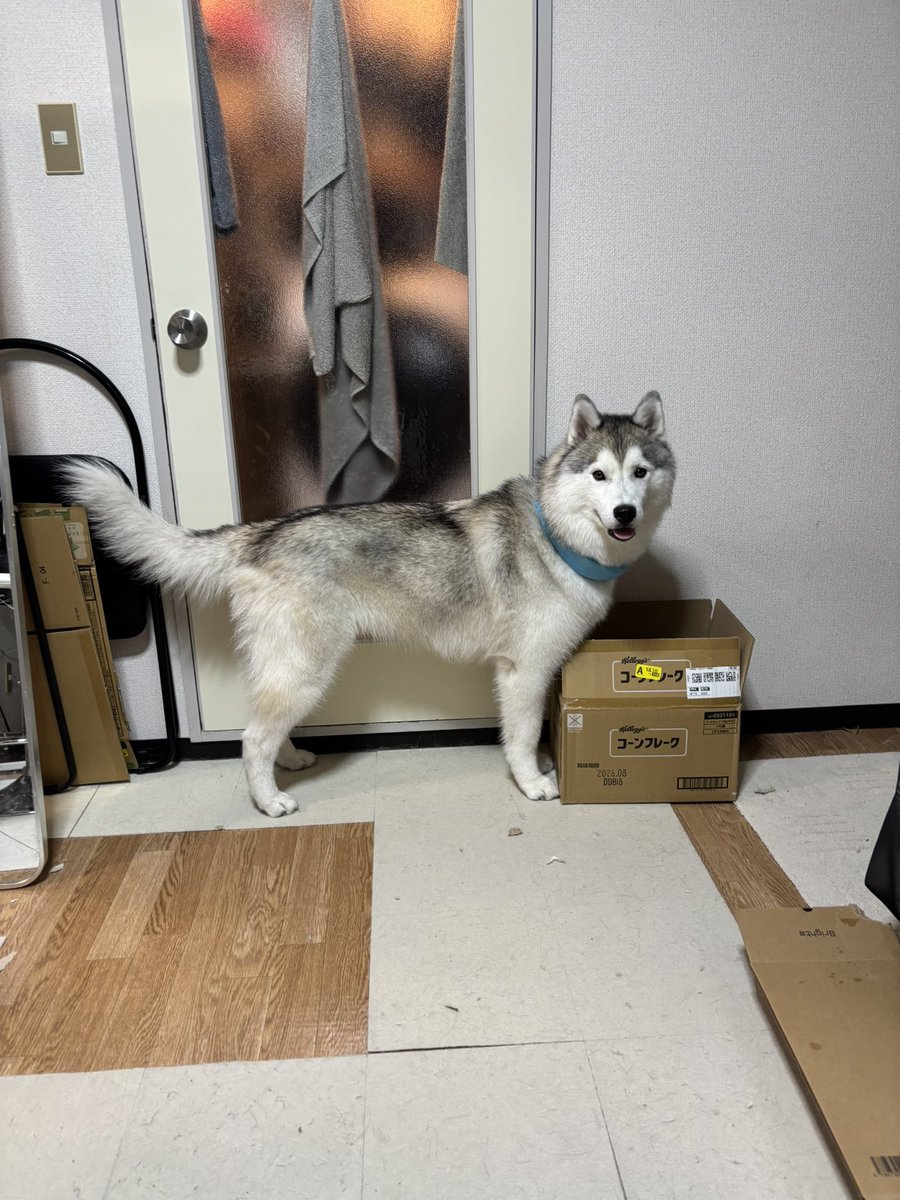 rn2312412's tweet image. 