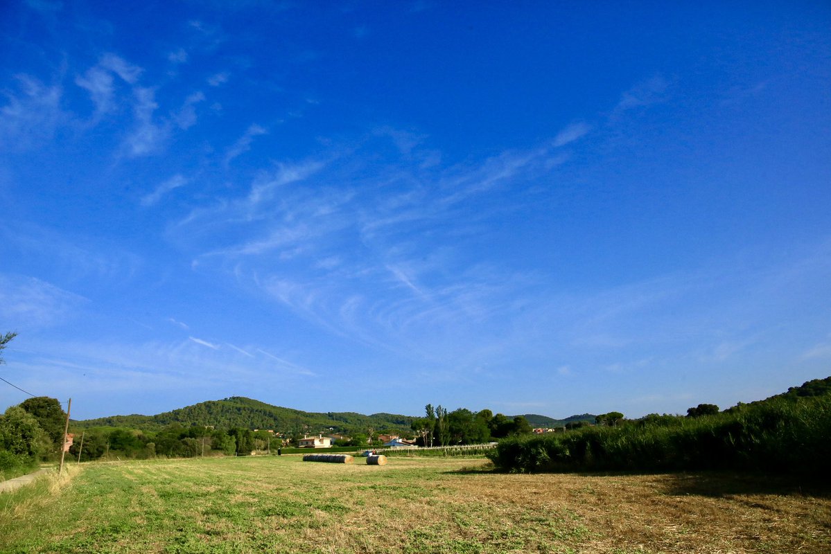 Miquel Galceran Radresa (@galceradresa) on Twitter photo Mont-ras 27/7/25 <a href="/eltempsTV3/">El temps</a> <a href="/aquilatierratve/">Aquí la Tierra</a> <a href="/tiempobrasero/">Tutiempo</a> <a href="/elnacionalcat/">ElNacional.cat</a> <a href="/ElTiempo_tve/">El Tiempo en TVE</a> <a href="/eltemps_rtve/">El Temps</a> <a href="/SoniaPapell/">Sònia Papell</a> <a href="/SergiLoras/">Sergi Loras</a> <a href="/meteorac1/">Meteorologia RAC1</a> <a href="/tempsdemeteo/">Temps de Méteo</a> <a href="/MeteoMauri/">MeteoMauri</a> <a href="/TomasMolinaB/">Tomàs Molina</a> <a href="/ARAmeteo/">ARA Méteo</a> <a href="/MeteoredES/">Meteored | tiempo.com</a> <a href="/RPalafrugellFM/">Ràdio Palafrugell</a> <a href="/XFreixes/">Xavi Freixes</a> <a href="/alcantara_alb/">Alberto Alcántara</a> <a href="/eloicordomi/">Eloi Cordomí Montoya</a> <a href="/jjanue/">Jofre Janué @jjanue.bsky.social</a> <a href="/AlfredRPico/">Alfred Rodríguez Picó</a> Mont-ras 27/7/25 <a href="/eltempsTV3/">El temps</a> <a href="/aquilatierratve/">Aquí la Tierra</a> <a href="/tiempobrasero/">Tutiempo</a> <a href="/elnacionalcat/">ElNacional.cat</a> <a href="/ElTiempo_tve/">El Tiempo en TVE</a> <a href="/eltemps_rtve/">El Temps</a> <a href="/SoniaPapell/">Sònia Papell</a> <a href="/SergiLoras/">Sergi Loras</a> <a href="/meteorac1/">Meteorologia RAC1</a> <a href="/tempsdemeteo/">Temps de Méteo</a> <a href="/MeteoMauri/">MeteoMauri</a> <a href="/TomasMolinaB/">Tomàs Molina</a> <a href="/ARAmeteo/">ARA Méteo</a> <a href="/MeteoredES/">Meteored | tiempo.com</a> <a href="/RPalafrugellFM/">Ràdio Palafrugell</a> <a href="/XFreixes/">Xavi Freixes</a> <a href="/alcantara_alb/">Alberto Alcántara</a> <a href="/eloicordomi/">Eloi Cordomí Montoya</a> <a href="/jjanue/">Jofre Janué @jjanue.bsky.social</a> <a href="/AlfredRPico/">Alfred Rodríguez Picó</a>