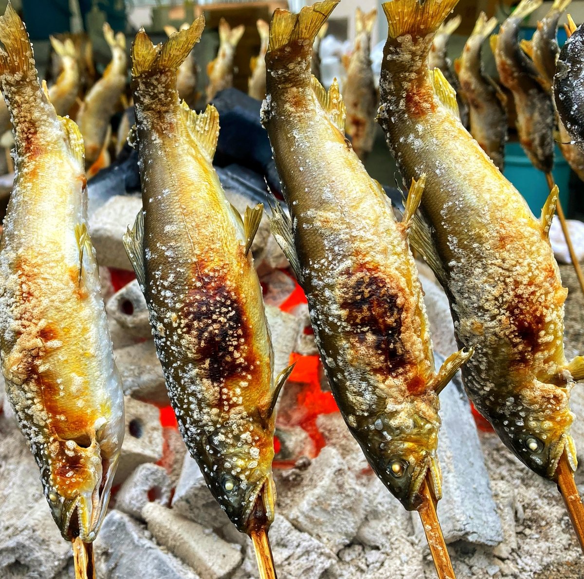 AdPcfesta's tweet image. 【絶品メニュー⑧】
★旬の味覚!鮎の塩焼き
今が旬の鮎を塩だけでシンプルに味付けして、炭火でじっくりと焼き上げた「鮎の塩炭火焼」。
外はパリッと、中は濃厚ジューシー!
炭火の香ばしい香りが食欲をソソります。
この季節ならではの贅沢な味を楽しみませんか?
#神田明神絶品