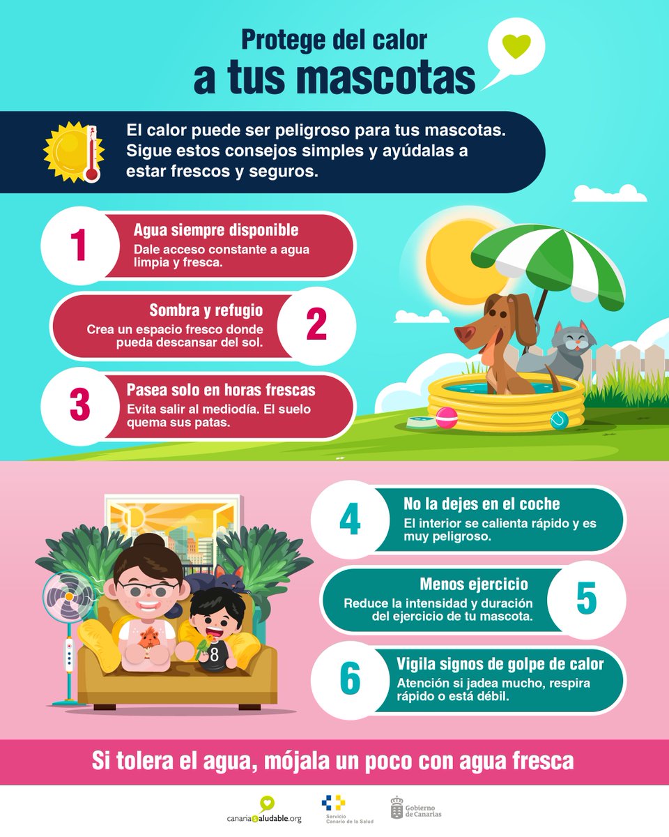 CanSaludable's tweet image. #Mascotas 🐈🐕
Sigue estas #recomendaciones 🧐 para proteger a tus mascotas de las altas temperaturas .
#Verano 🥵
@SanidadGobCan @PresiCan @JuventudCanaria @012Gobcan @112canarias
