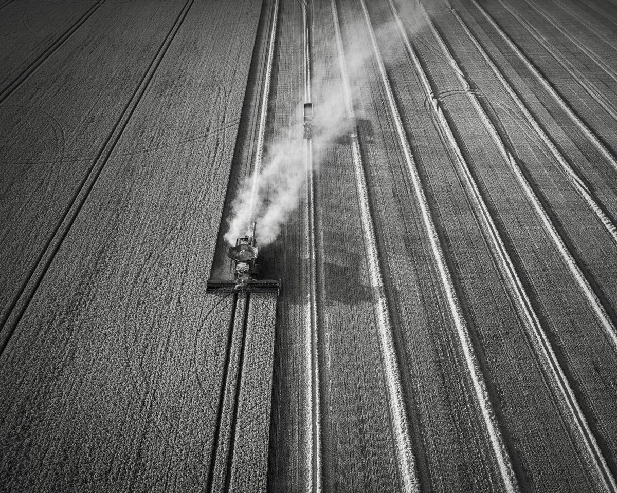 gilesthurston's tweet photo. Iโm currently working on a project called #fenland. Iโve had some images in mind to capture the #harvest. Conditions were good on Friday, I found the perfect subjects and these were the results. Let me know what you think.
โ
#photography #appicoftheweek @BWPMag #smartshots https://t.co/JbyHHlaKIL