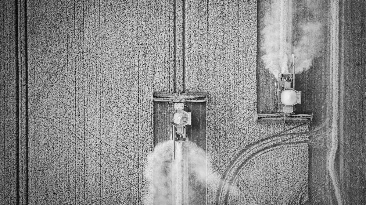 gilesthurston's tweet photo. Iโm currently working on a project called #fenland. Iโve had some images in mind to capture the #harvest. Conditions were good on Friday, I found the perfect subjects and these were the results. Let me know what you think.
โ
#photography #appicoftheweek @BWPMag #smartshots https://t.co/JbyHHlaKIL