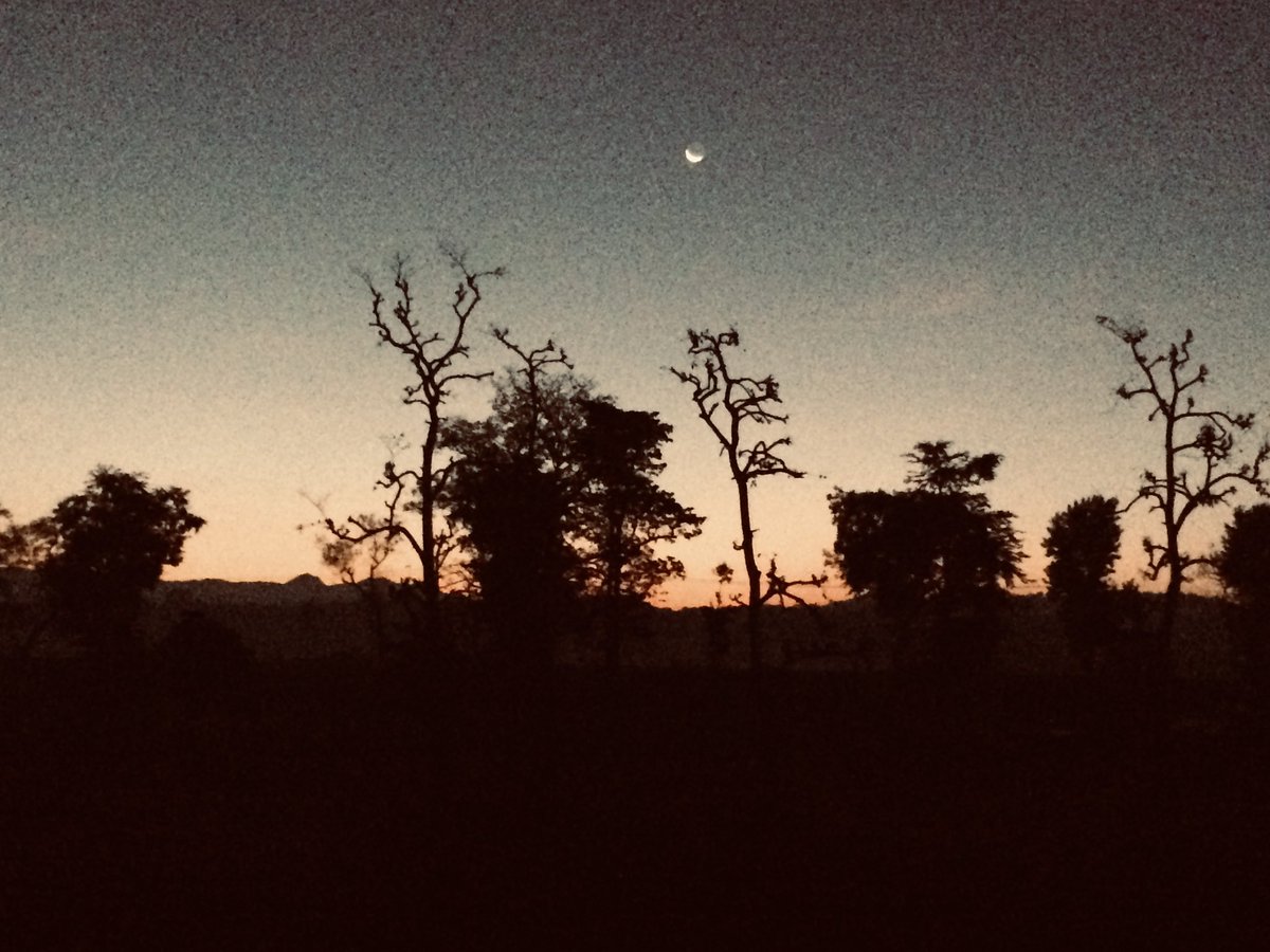tyagipv's tweet image. A quiet dawn away from the chaos of metro city. 

#MorningVibes