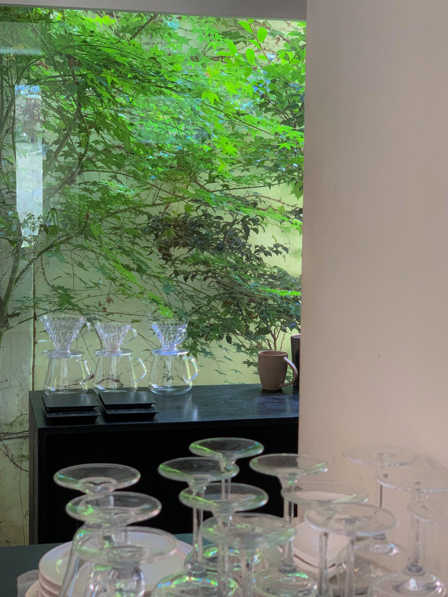 berryme0v0's tweet image. 광주에서 수집한 여름 조각들🍃🧊