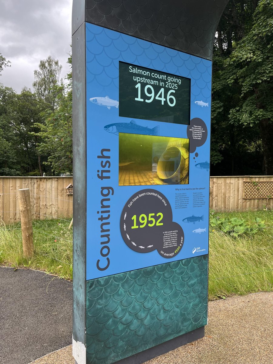 Ladder count 1946
Sunday 27/7/25   09:23 BST