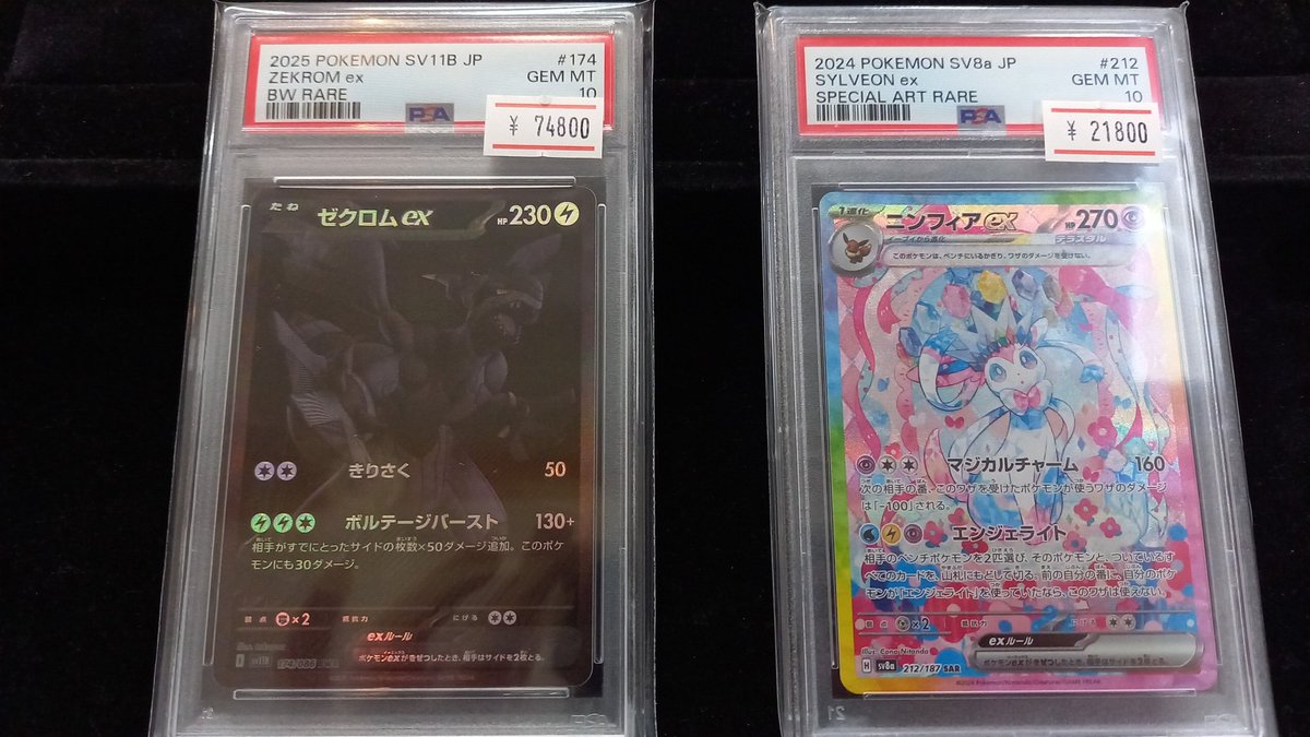 早い者勝ち❁︎ゼクロムEX sar❁︎ケース入り➕匿名配送❁︎ 早い者勝ち❁︎ゼクロムEX sar❁︎ケース入り➕匿名配送❁︎