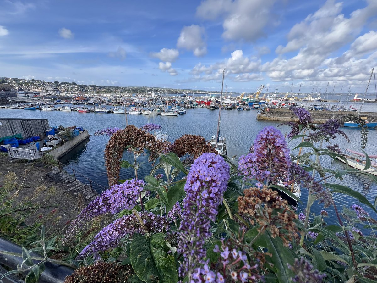 BackInTheBurg's tweet image. We made it😅…St. Ives🥾🥾🥾Penzance🇬🇧. Nearly, 50 miles in 5 days. Experience of a lifetime, and the Lord blessed us with incredible weather, amazing sights and sounds, and wonderful community with lifelong friends along the way🙏. Stay active my friends #SouthwestCoastPath #UK