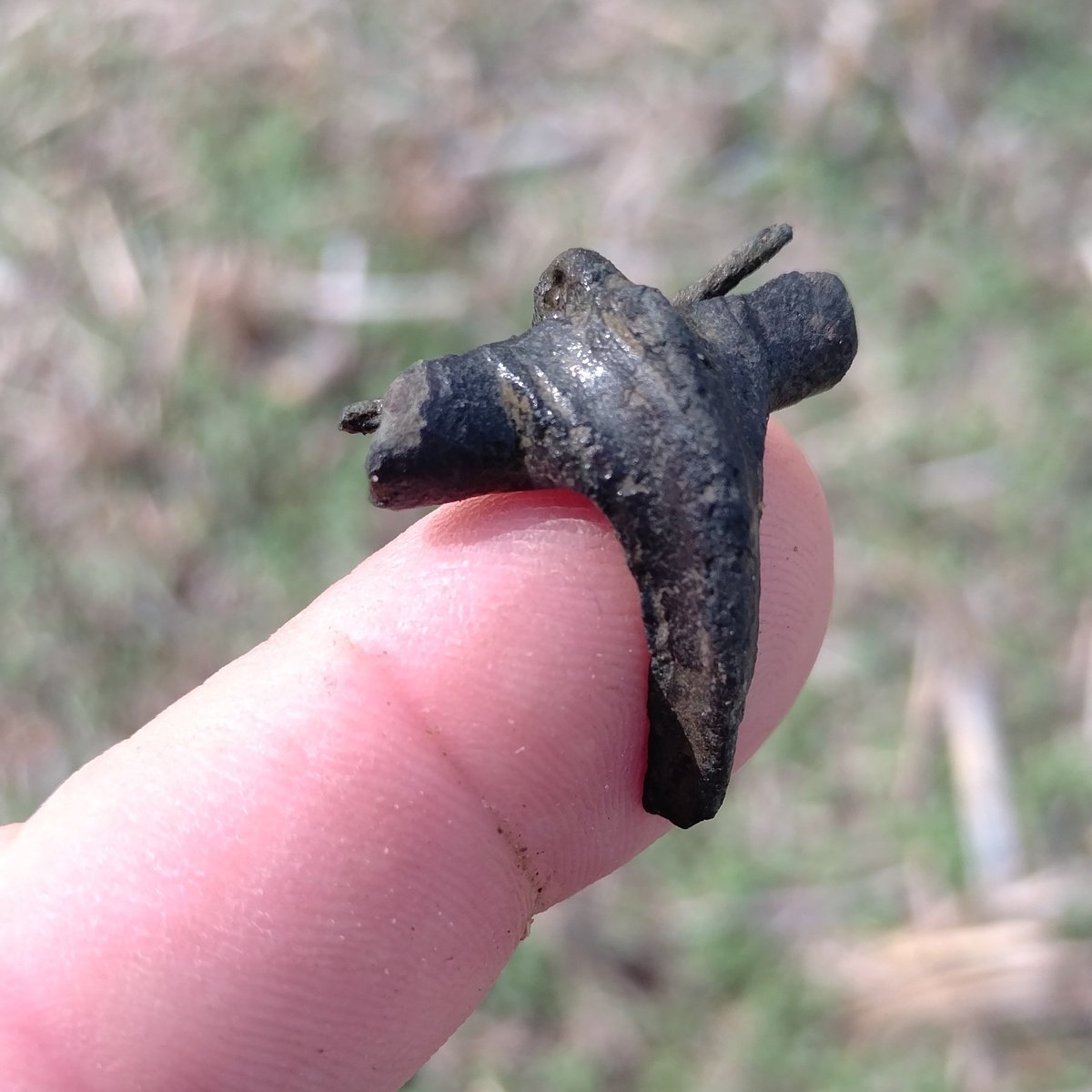 SDetectorist's tweet image. I thought I'd found them all.
A lovely little Roman Brooch. Still with spring wire fragments remaining.